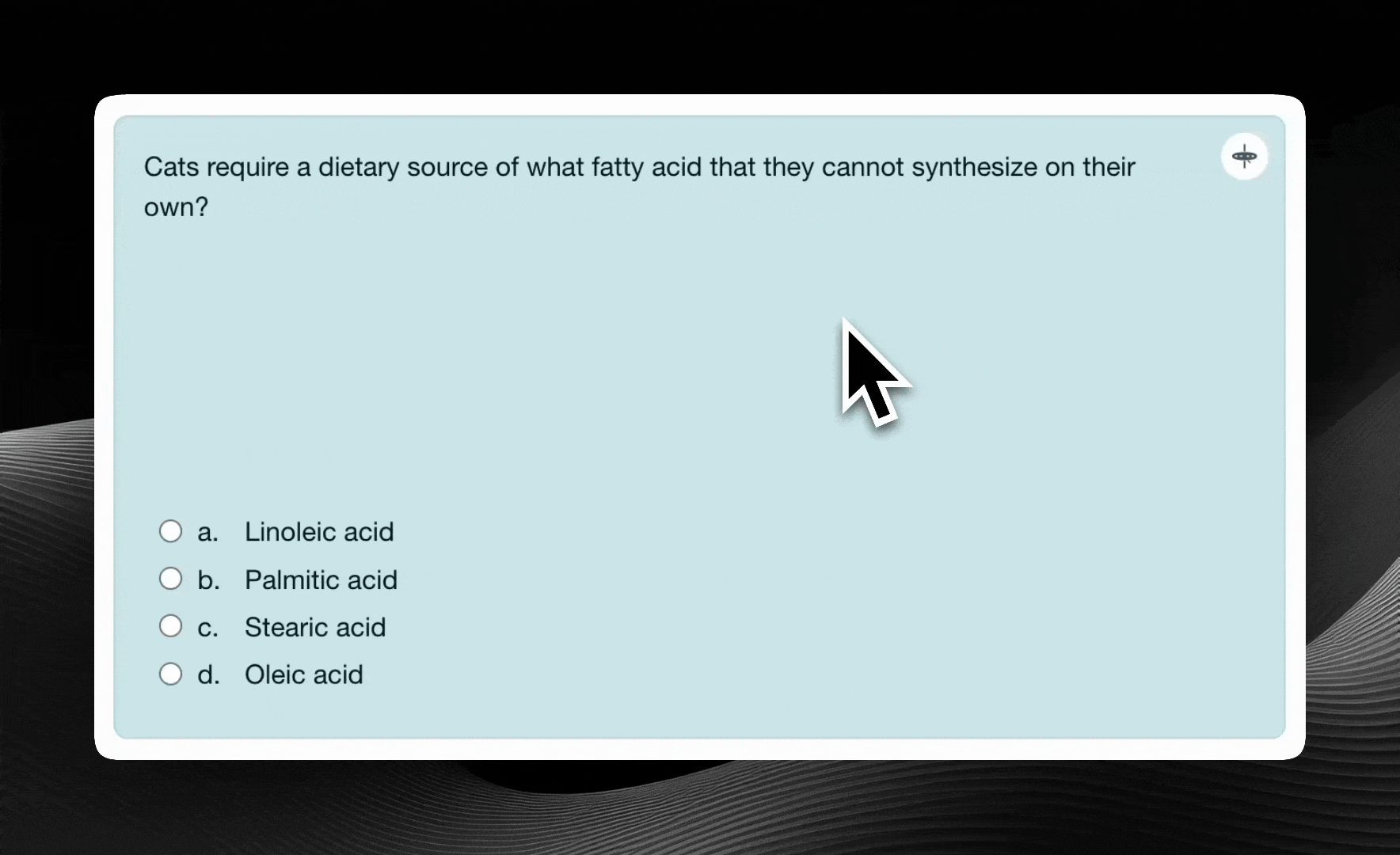 Demo: error message when API key is missing or a request fails