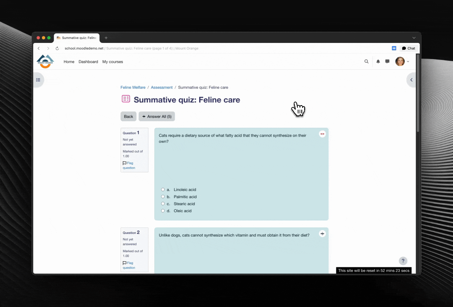 Demo: alternative error state
